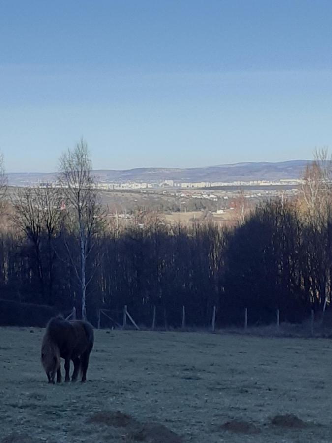 Pensiunea Natura Sadu Nagyszeben Kültér fotó