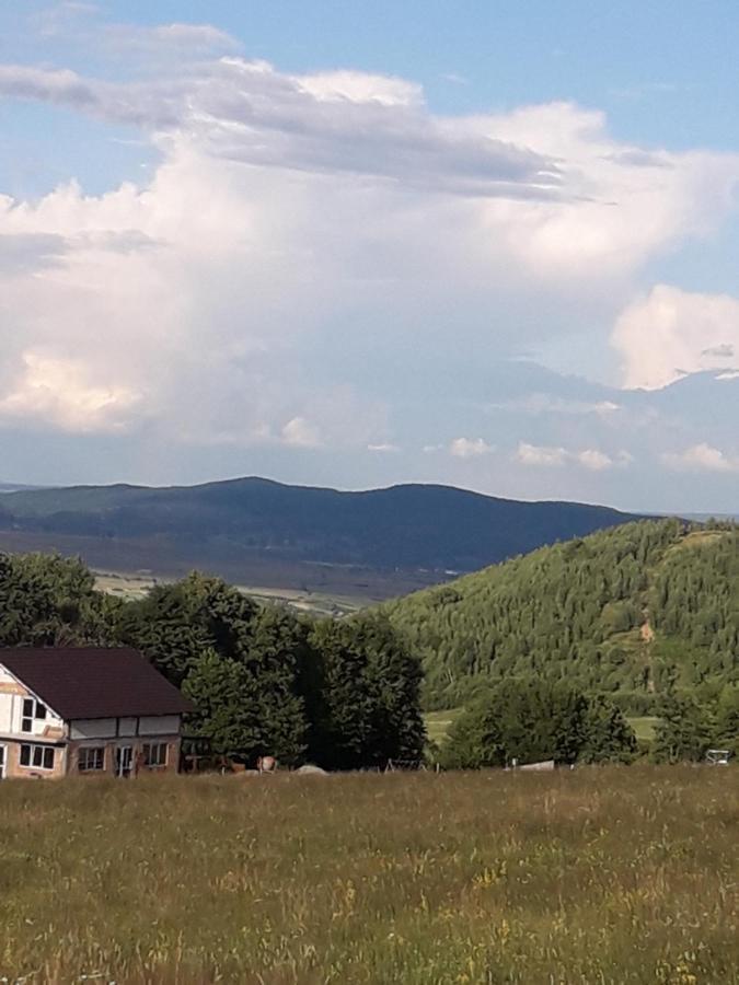 Pensiunea Natura Sadu Nagyszeben Kültér fotó