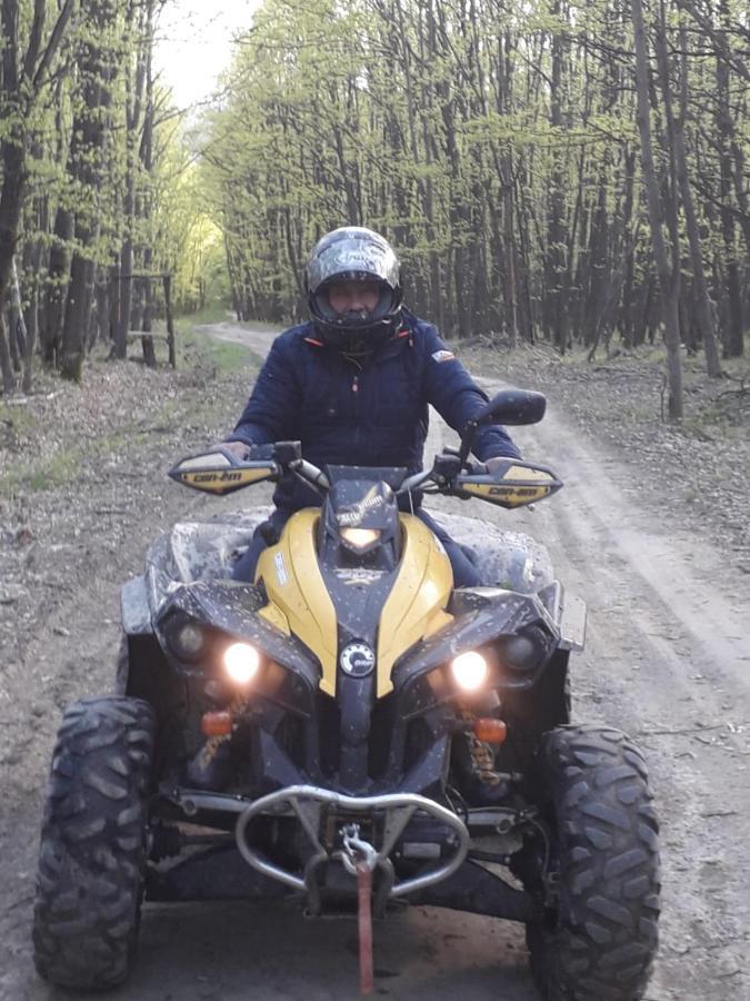 Pensiunea Natura Sadu Nagyszeben Kültér fotó