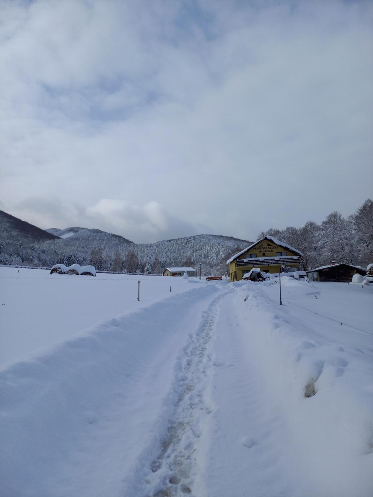 Pensiunea Natura Sadu Nagyszeben Kültér fotó